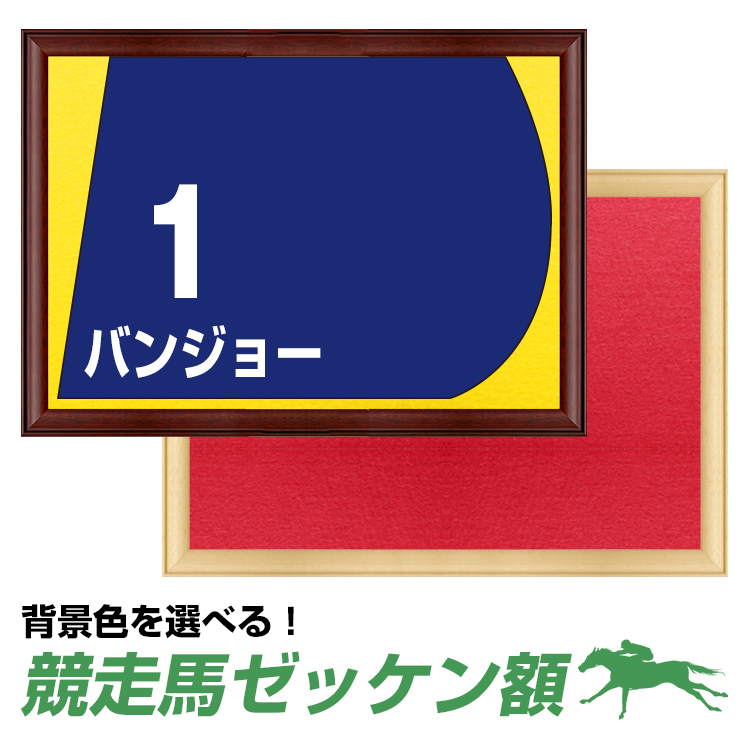 送料無料 競走馬ゼッケン額 ナチュラル/ブラウン 選べる背景色 【受注生産】競馬 額縁 フレーム 壁掛け ゼッケン 飾る 額装 カラフル 特注  オーダーメイド