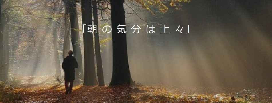 VALKEE JAPANヤフー店
