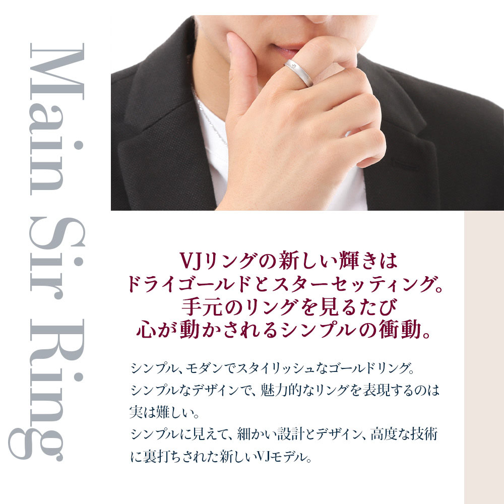 18金 リング ダイヤモンド VJ【ブイジェイ】 18k メンズ ホワイトゴールド「Main Sir ドライゴールド」[指輪 k18 マット 後光 幅広 星 プラチナ 一粒 ピンキー]の画像