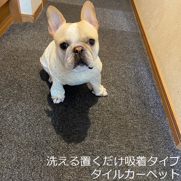 東リ（TOLI） タイルカーペット 吸着 ペット 洗える 犬 猫 置くだけ