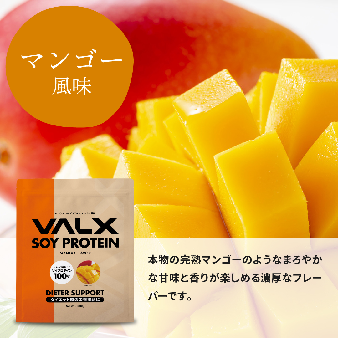 VALX ソイプロテイン 1kg 50食分 植物性 大豆 プロテイン