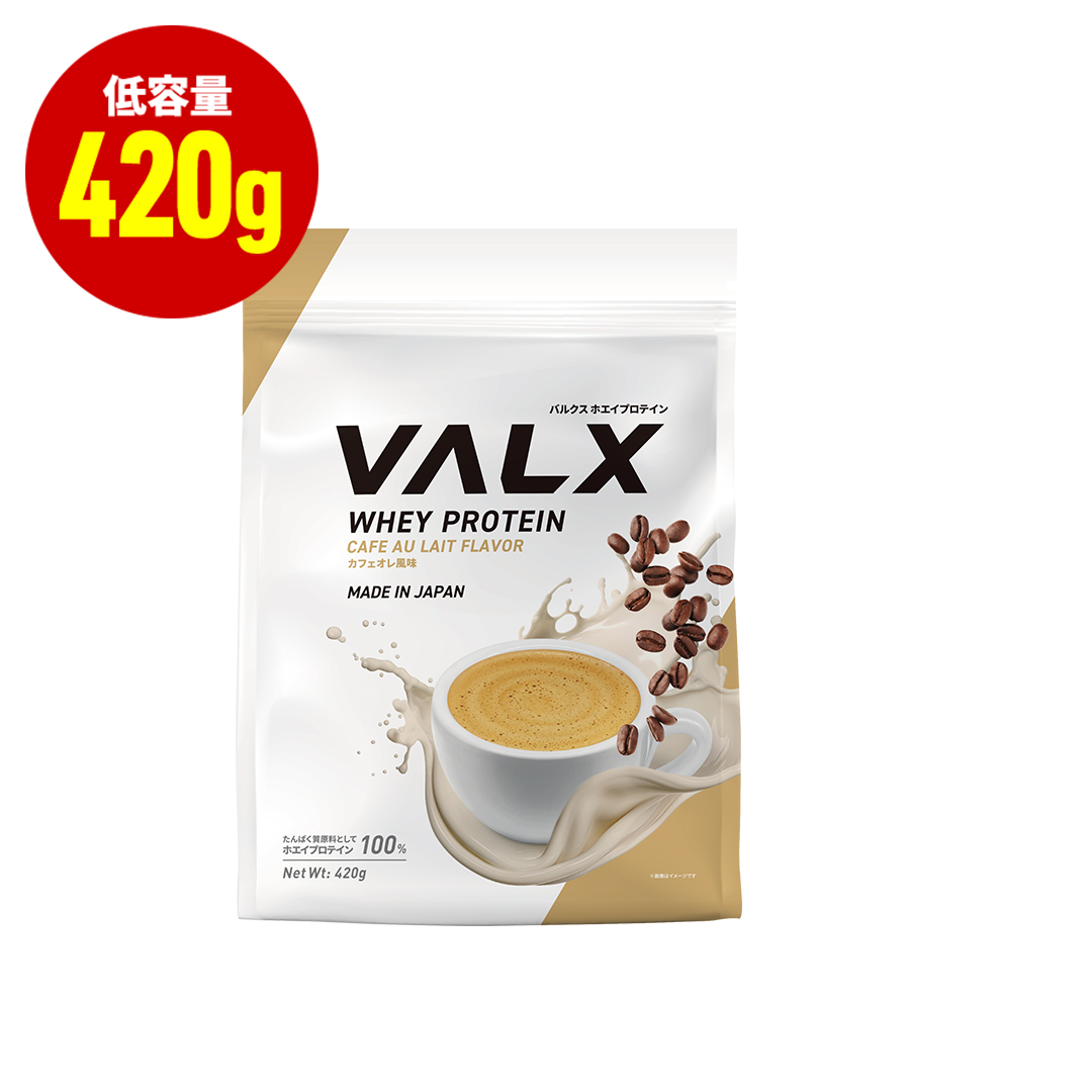 VALX バルクス Amazon | VALX バルクス ホエイ プロテイン WPI パーフェクト