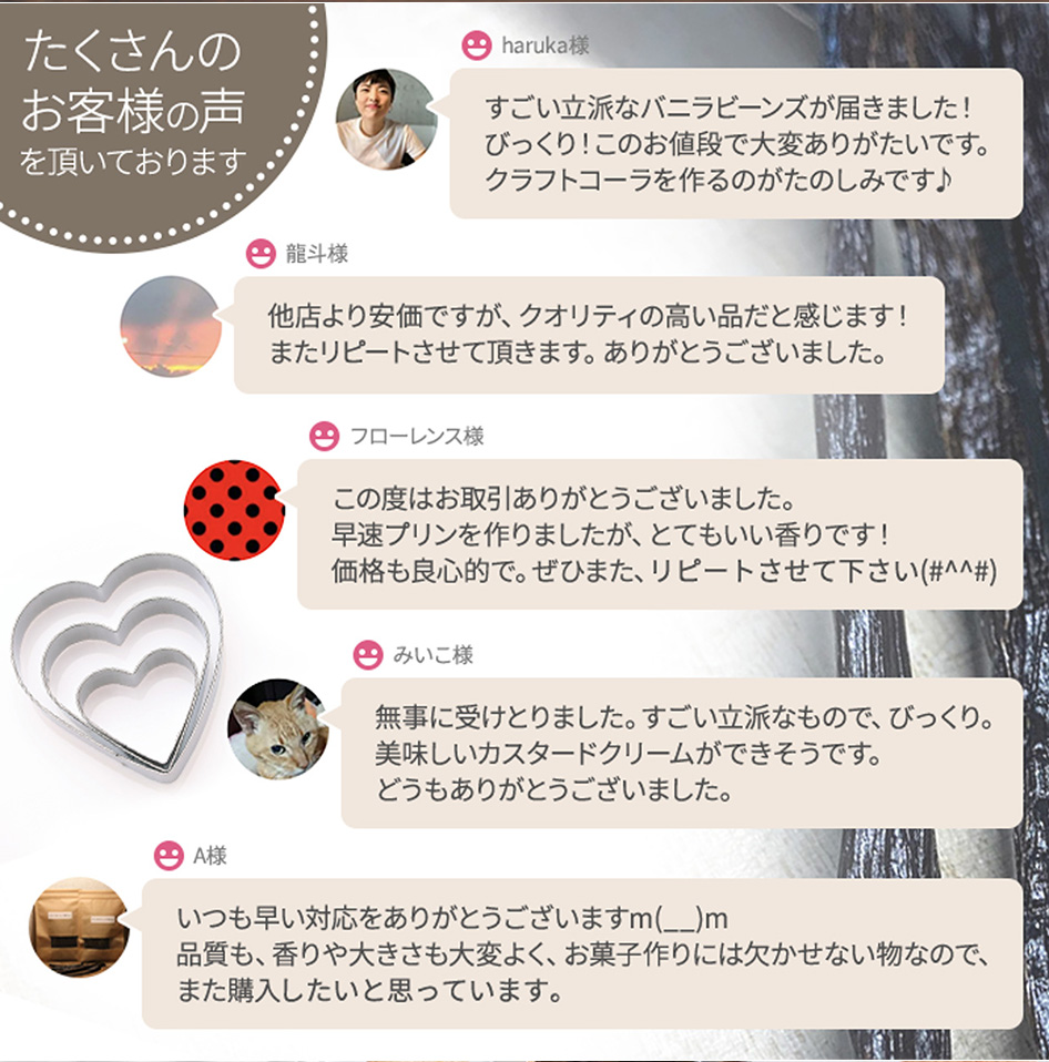 バニラビーンズのアウローラバニラビーンズ （5本入×100個セット） マダガスカル産 業務用 ECOCERT認定 オーガニック 製菓用香料  バニラペースト 贈答用 製菓用 バニラエッセンス 香料