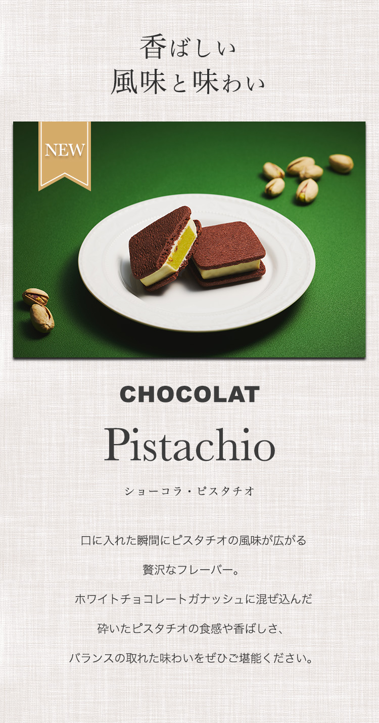 VANILLABEANS（バニラビーンズ） 【個箱1個】ショーコラ・ピスタチオ