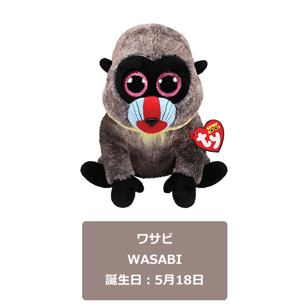 Tyビーニーブー2つ（猿とピッグ）わ