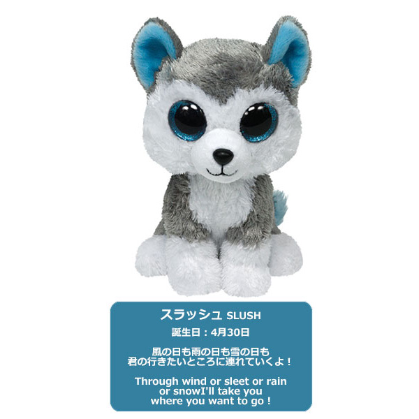 Ty ぬいぐるみ BEANIE BOO'S Mサイズ | ビーニーブーズ Ty 15cm 動物 犬 猫 ウサギ パンダ ユニコーン ペンギン キツネ  フクロウ ハスキー