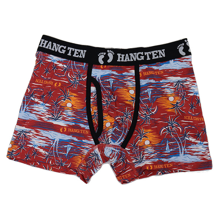 HANG TEN ハンテン メンズ ボクサーパンツ 前あき 072 ブランド HANGTEN 夏