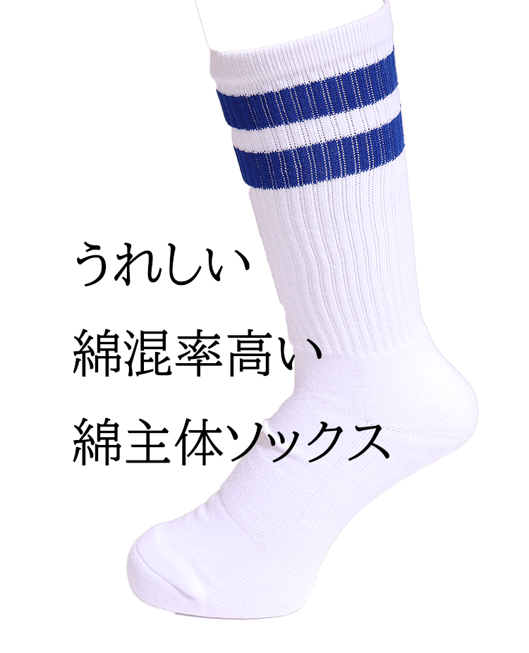 Healthknit（ヘルスニット） 2足組 ソックス 靴下 メンズ ヘルスニット
