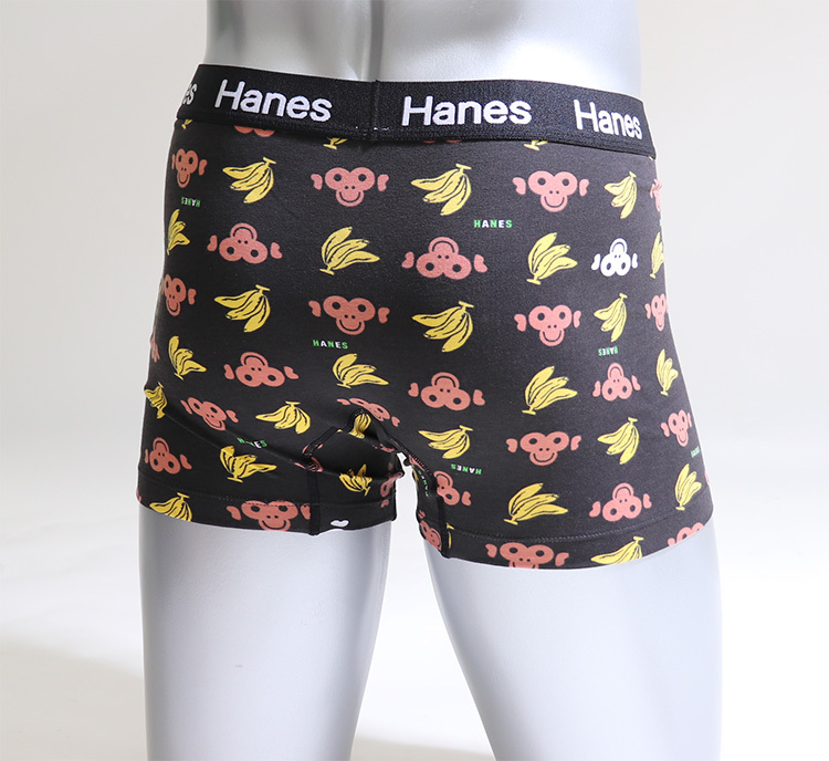 Hanes ヘインズボクサーパンツ 柄入り 3枚セット メンズ おまかせ3枚