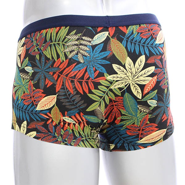 HELLOW（ハロー）前とじメンズボクサーブリーフ（ボタニカル10