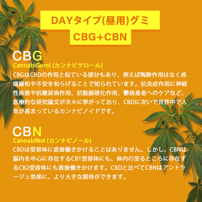 CBGとCBN