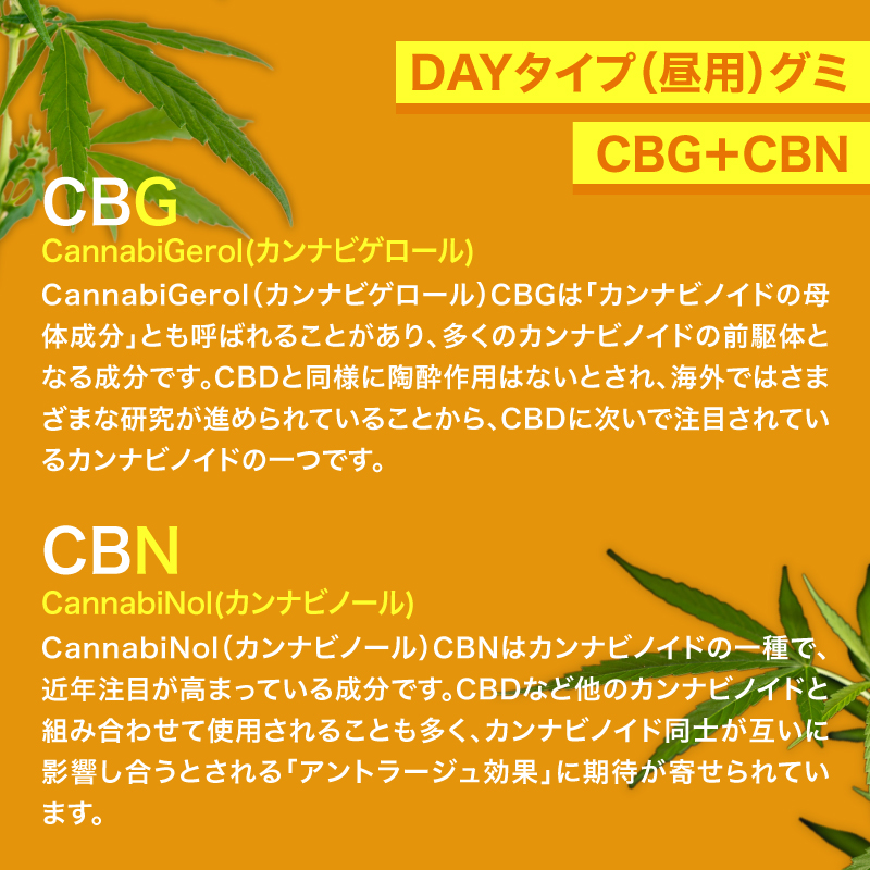 CBGとCBN