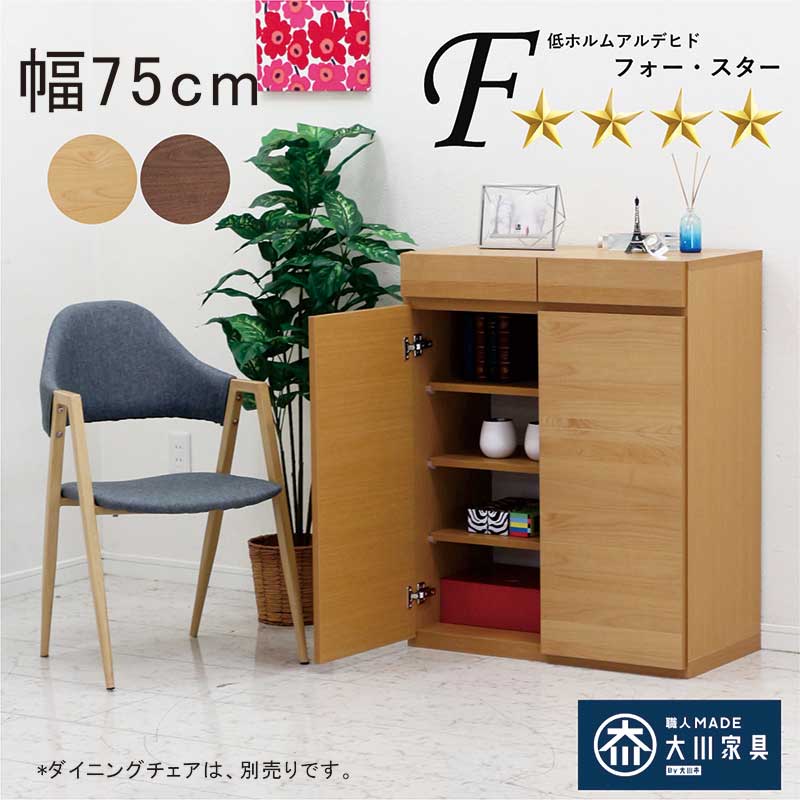 日曜日P最大15％〜下駄箱 靴箱 ロータイプ 扉付きシューズボックス