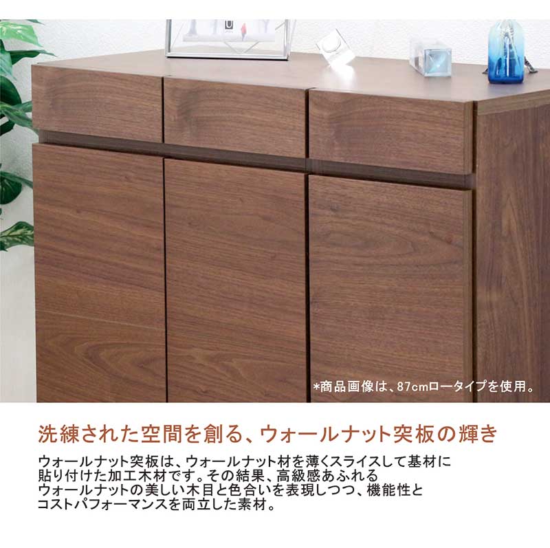 5日つく日 P最大9%〜下駄箱 靴箱 ロータイプ 扉付きシューズボックス