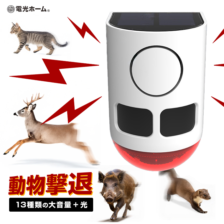いらなくなったもの アリがいなくなるコンバット 2way | アリがいなくなる