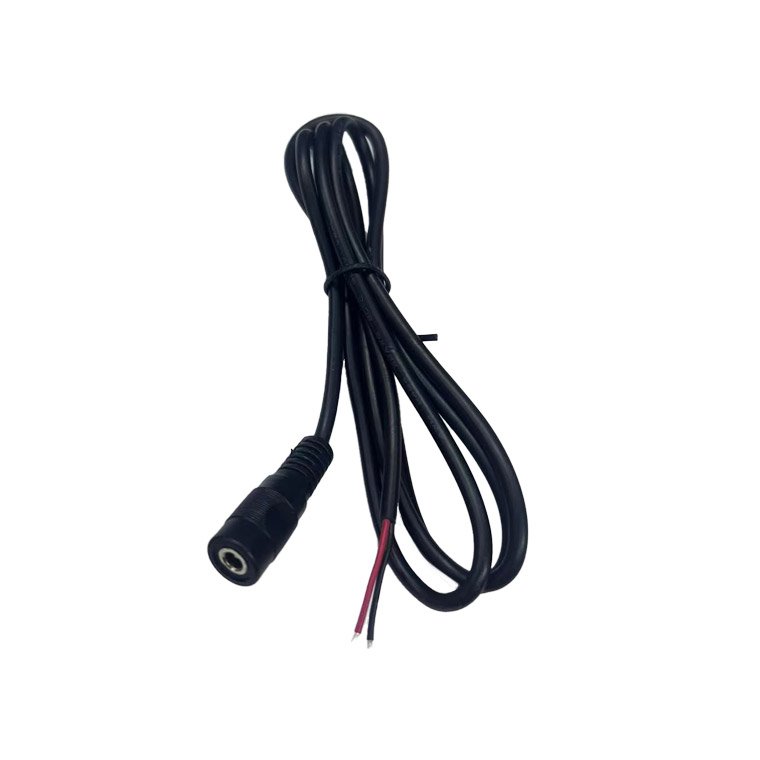 DENKO HOME（電光ホーム） DC充電ケーブル 2芯 変換ケーブル 外径3.5mm