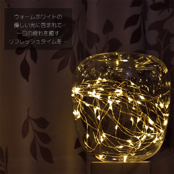 DENKO HOME（電光ホーム） エジソン電球 LED E26 1.7W led全2色 幅