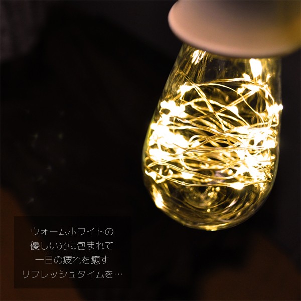 DENKO HOME（電光ホーム） エジソン電球 LED E26 1.7W led全2色 幅64mm