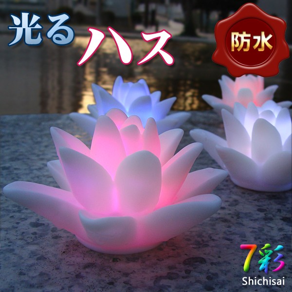 DENKO HOME（電光ホーム） 光るハス 防水 タイプ 水に浮かぶ 蓮 Lotus