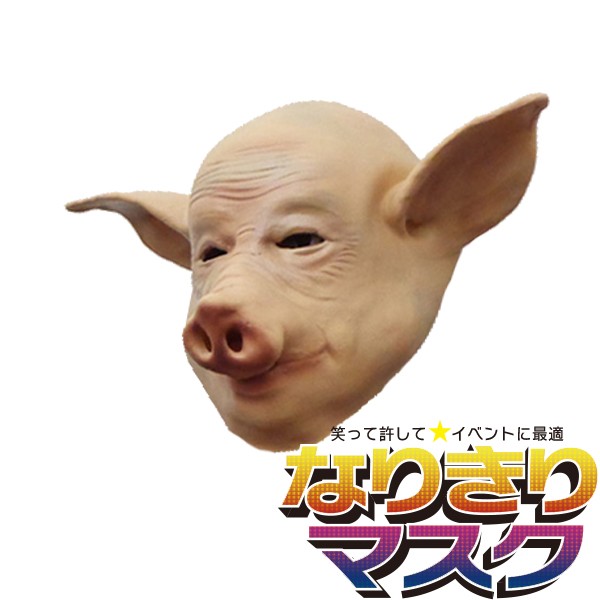 特徴ある！なりきりマスク 猪八戒風01