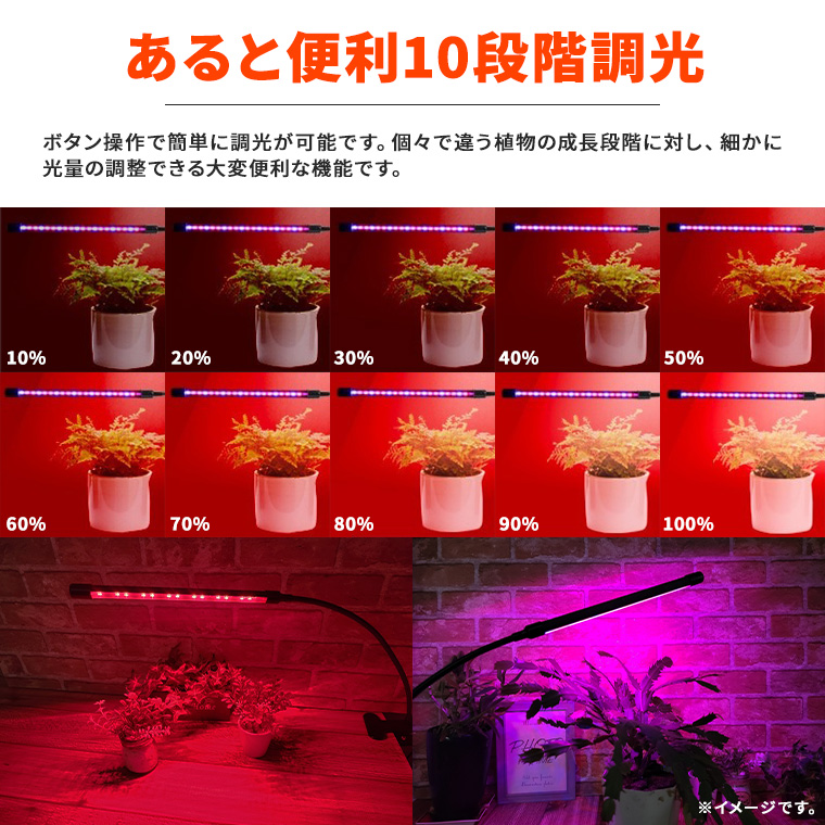 DENKO HOME（電光ホーム） 植物育成ライトLED 育成ライト 観葉植物