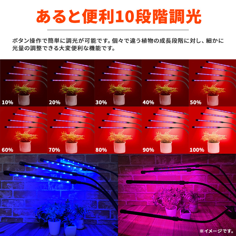 DENKO HOME（電光ホーム） 植物育成ライトLED 育成ライト 観葉植物