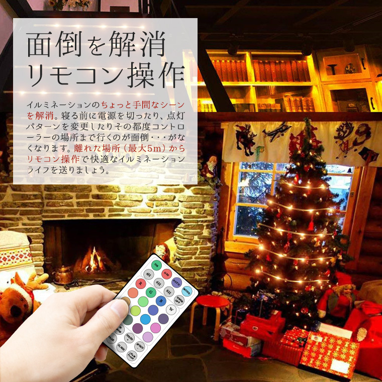 DENKO HOME ロープライト チューブライト LED 100球 10m マルチ