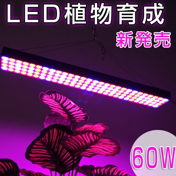 植物育成ledライト Led植物育成 植物用ledライト 60w 112led 植物育成パネル 水耕栽培ランプ Ledパネル Ledライト園芸 プラント ライト