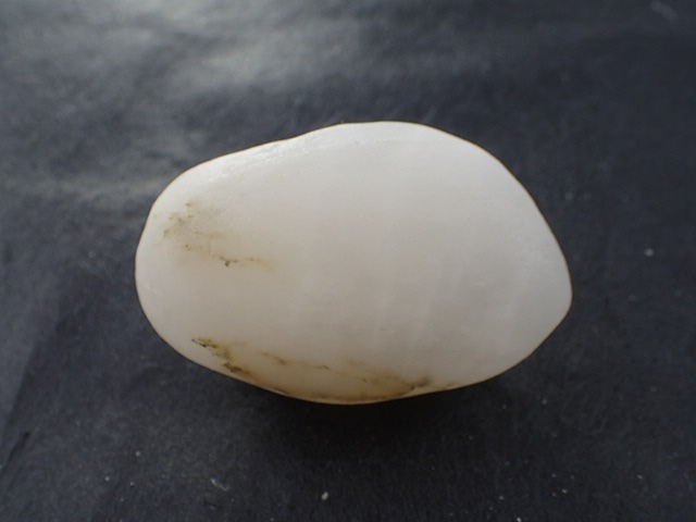 最高品質おのころ水晶(onokoro Quartz)　兵庫県淡路島 産