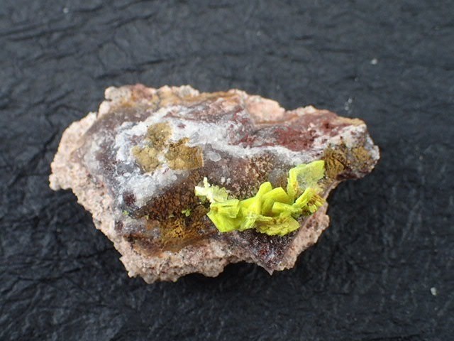 オトゥーナイト（燐灰ウラン鉱(Autunite) ） Steinbruch, Heilmnn, Kirchgerg,Germany 産　寸法　：　 44.7X28.6X15.8mm/15.5g コレクションケース付