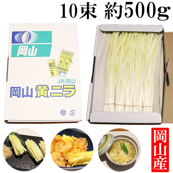 岡山県産 黄ニラ 約500g (約50g×10束） 珍しい 野菜 高級食材 送料無料｜vegefrusmart