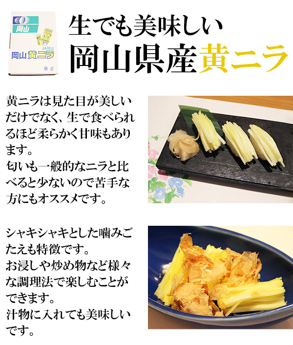 岡山県産 黄ニラ 約500g (約50g×10束） 珍しい 野菜 高級食材 送料無料｜vegefrusmart｜02