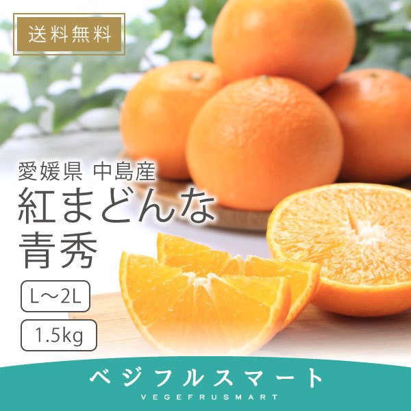 【ラッピング不可】 非常に高い品質 紅まどんな 贈答用 青秀 愛媛県産 みかん お歳暮 L〜2Lサイズ 6〜10玉 1.5kg 送料無料 kentaro.sakura.ne.jp kentaro.sakura.ne.jp