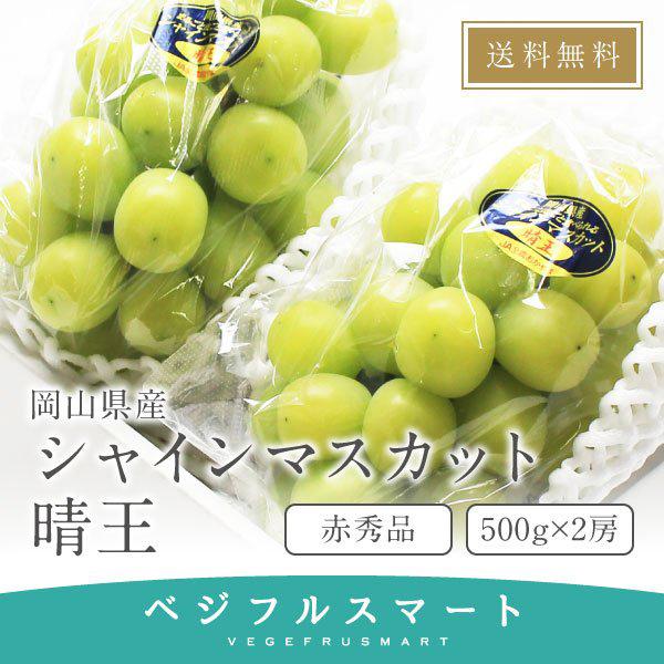 岡山県産シャインマスカット晴王⑥粒‼️家庭用 果物