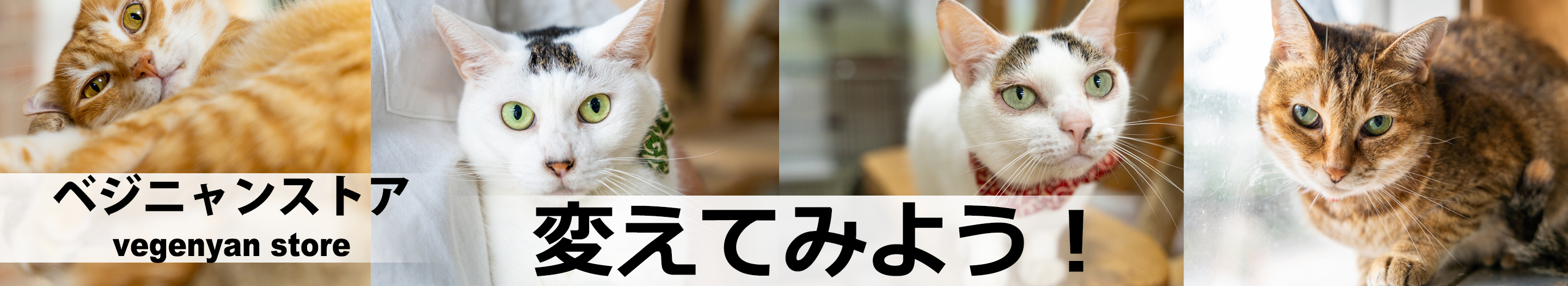 ベジニャンストア ヘッダー画像