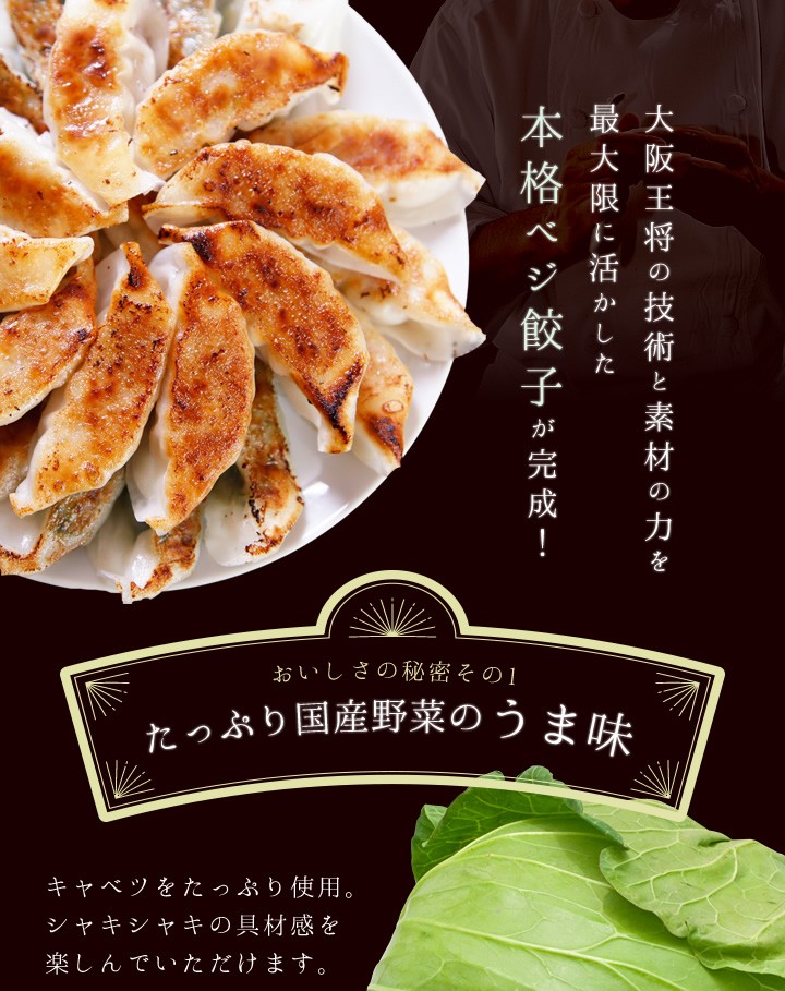 饺子セット ベジタリアン対応/动物性原材料不使用-日本购购凭借专业