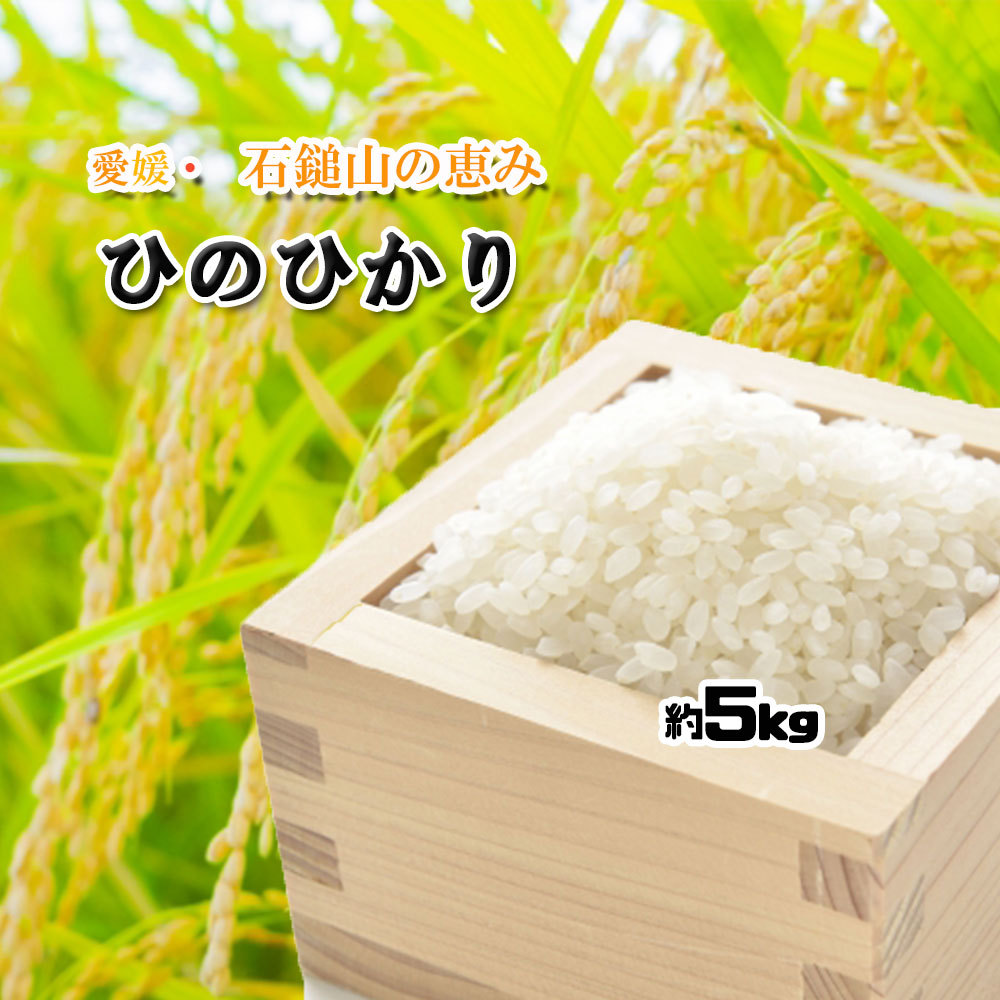 お米（玄米/白米）