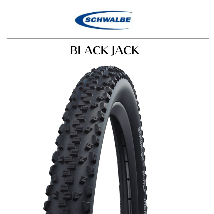 2本売り 自転車 BMX MTBタイヤ SCHWALBE BLACK JACK 20 x 1.90 ランキング総合1位