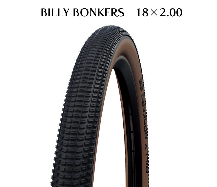 シュワルベ ビリーボンカーズ 22004943.jpg