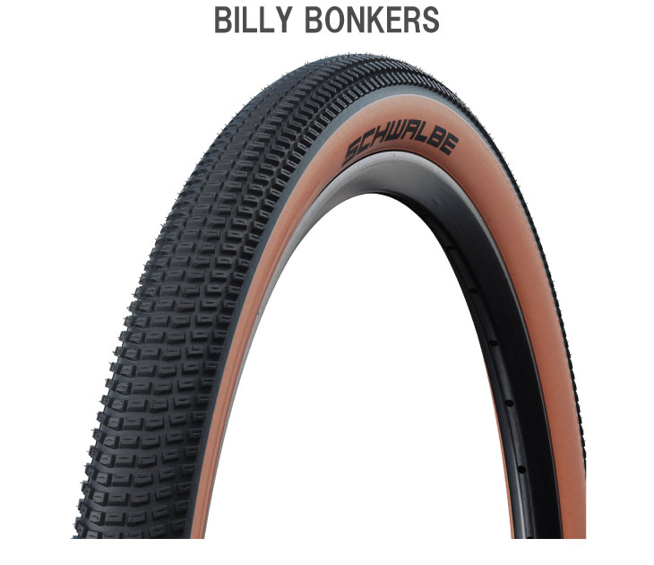 SCHWALBE BILLY BONKERS 2.6×2.1 2本セット 25000978-1.jpg