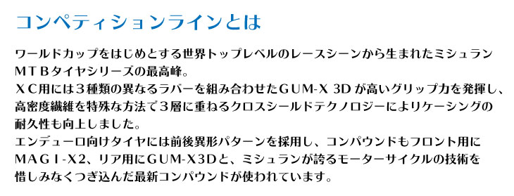 MICHELIN ミシュラン WILD ENDURO ワイルド エンデューロ