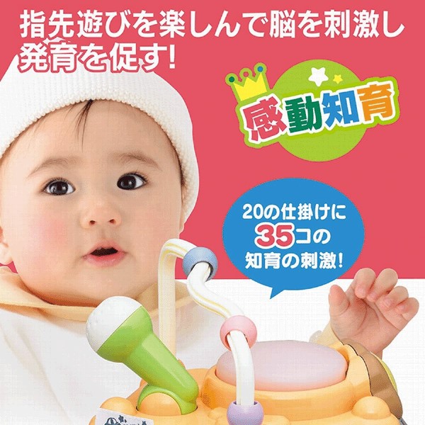 豪奢な 7760 トイローヤル たのしく知育! ローヤル やみつきボックス+ ドッグフード