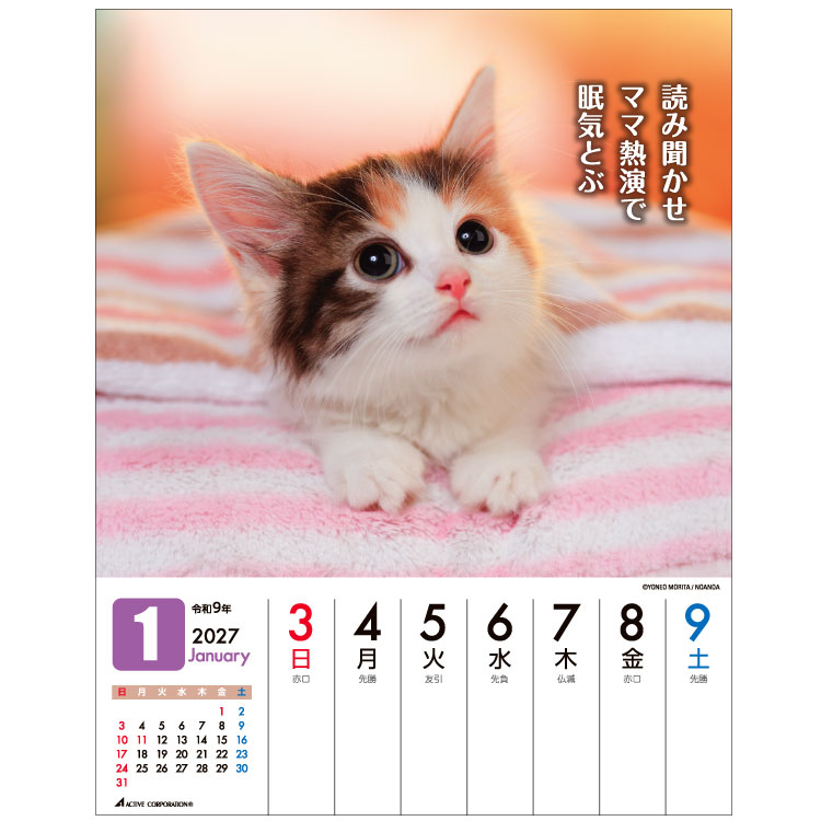 2027 Calendar 卓上カレンダー2027年 だってネコだもの。 スケジュール