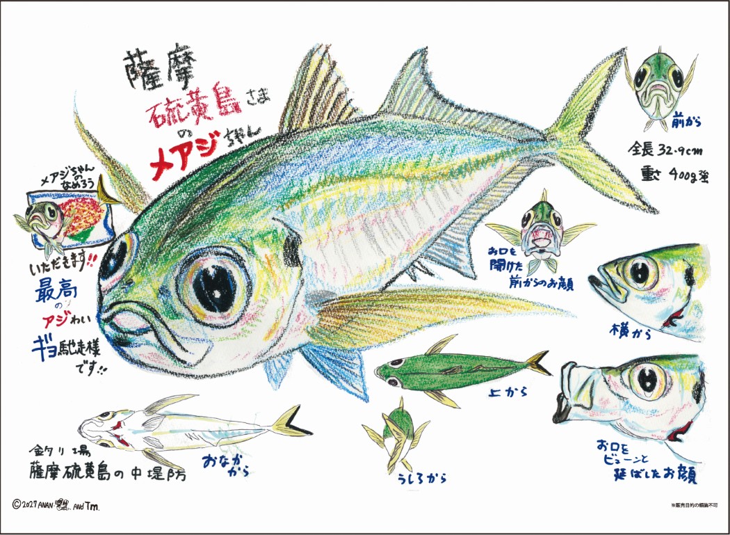 さかなクン 2027Calendar 壁掛けカ...の詳細画像2