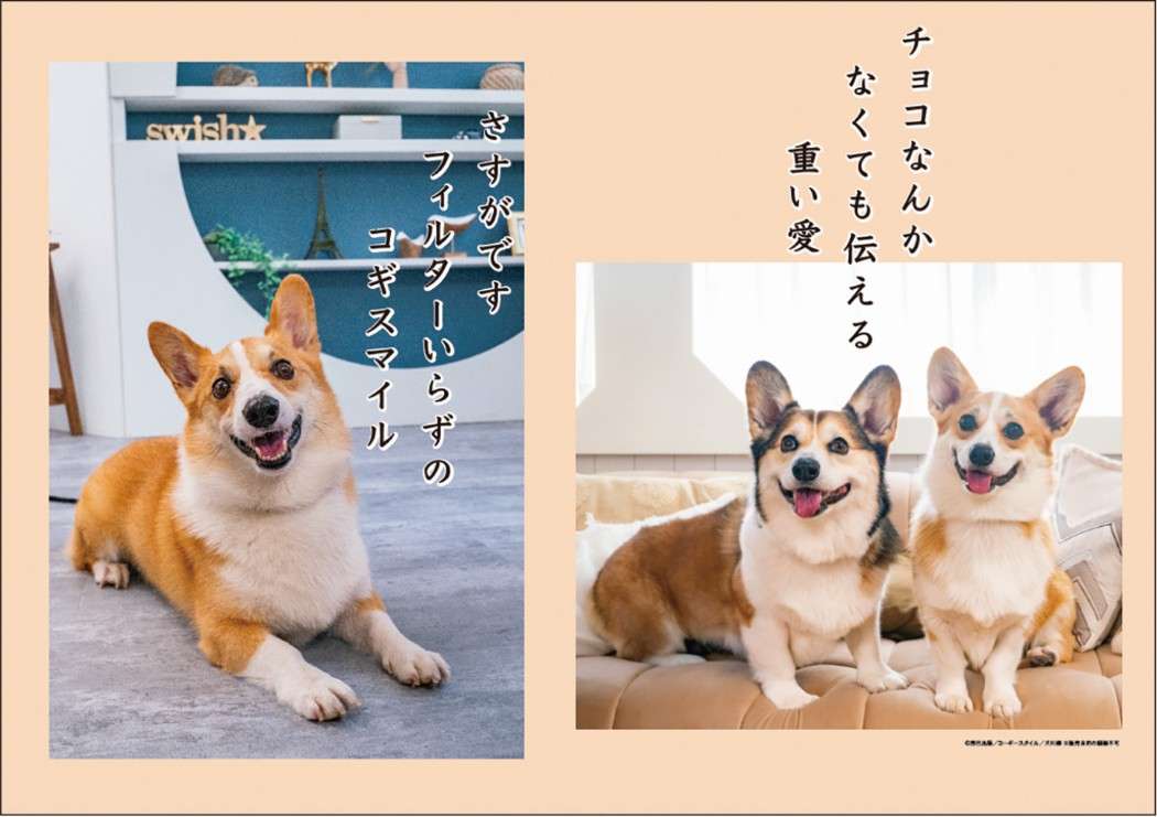 2027Calendar 壁掛けカレンダー2027年 コーギー川柳 いぬ かわいい