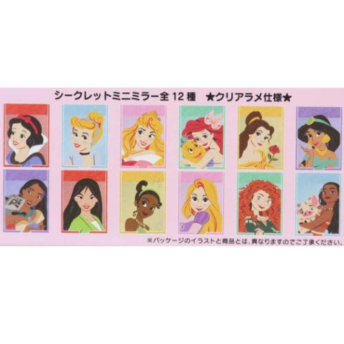 ディズニープリンセス 手鏡 シークレットミニミラーvol.2 全12種 12個