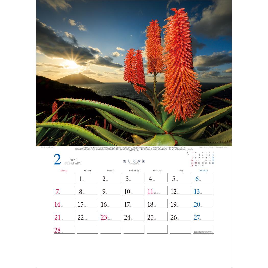 2027 Calendar 壁掛けカレンダー2...の詳細画像2
