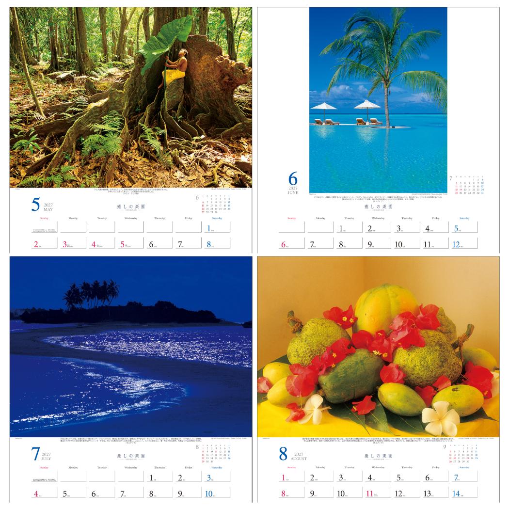 2027 Calendar 壁掛けカレンダー2...の詳細画像4