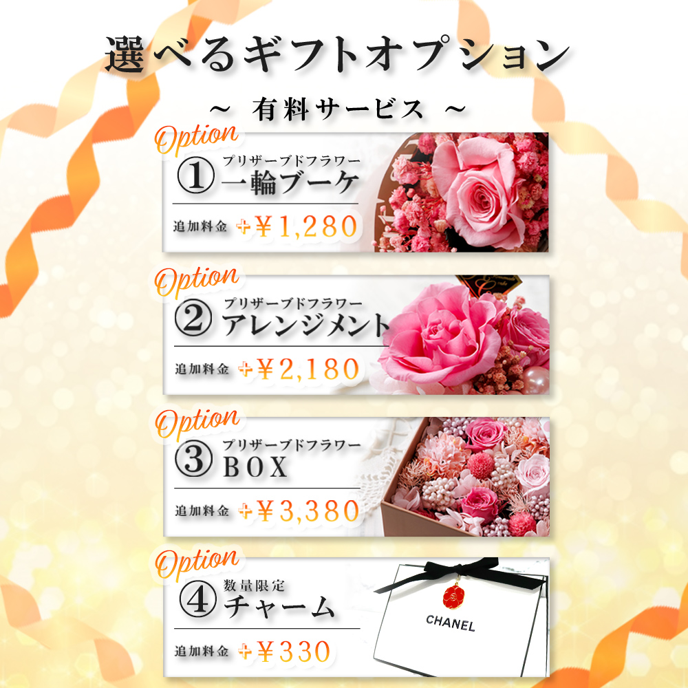 有料オプションについて