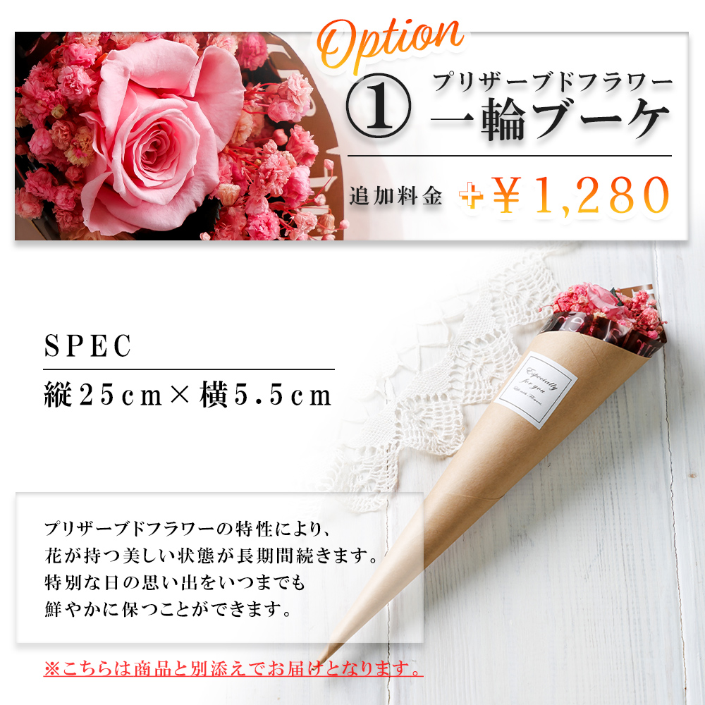 有料オプションについて